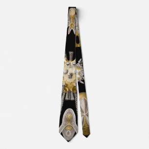 Cravate Oursins Anciens Dollars de Sable par Ernst Haeckel