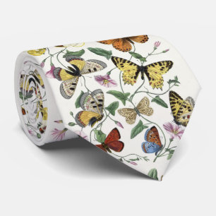 Cravate Papillon et papillon de Paul Gervais