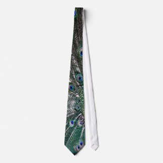 Cravate Peacock Feathers