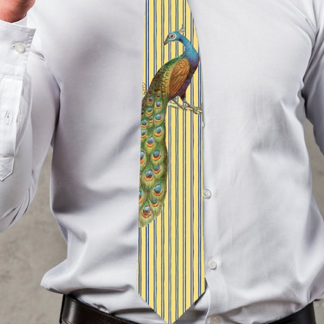 Cravate Peacock Pour les Mariages et les occasions (Créateur téléchargé)