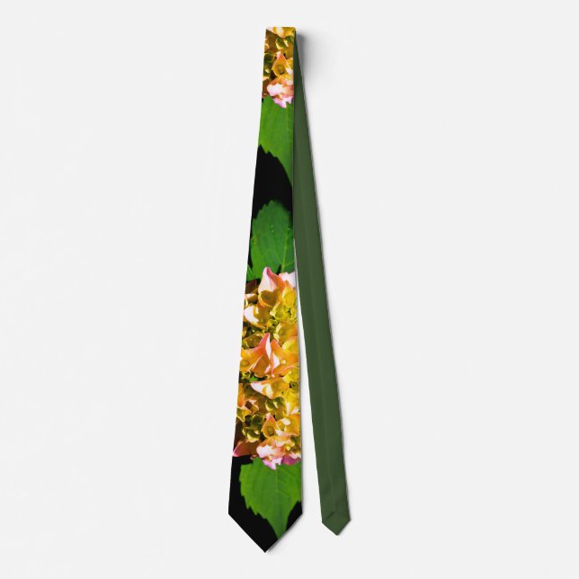 Cravate Peine verte et rose (Devant)
