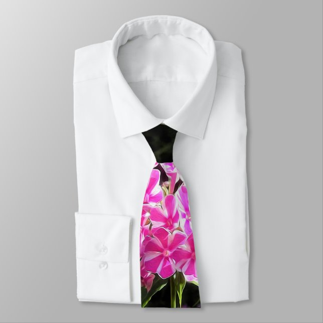 Cravate Peppermint Twist Phlox dans le jardin des fleurs (Attaché)