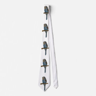 Cravate Perruche bleue