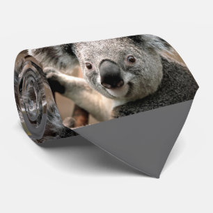 Cravate photo Cute Koala Bear (arrière - plan gri