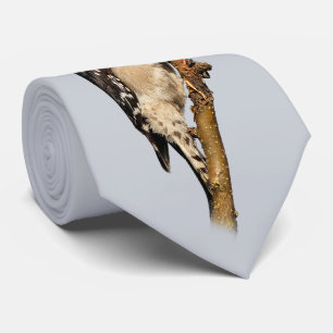 Cravate Pic Downy mou sur arbre aux fruits