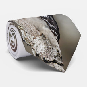 Cravate Pic mou Downy sur l'arbre