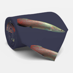 Cravate Pirarucu, Arapaima gigas ク タ イ