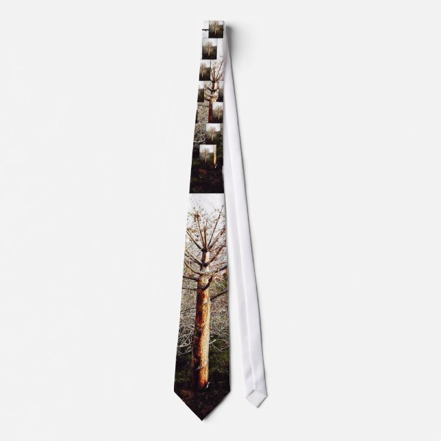 Cravate Plante Ferula sec (Devant)