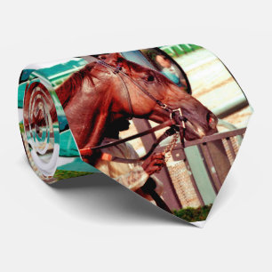 Cravate Pur sang 1979 d'Alydar