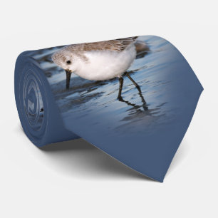 Cravate Sanderling Flâner sur une plage d'hiver