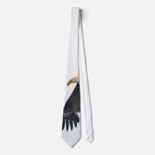 Cravate Soaring Bald Eagle Wildife Photo Art