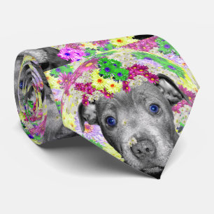Cravate Staffordshire Bull Terrier Et Daisées,