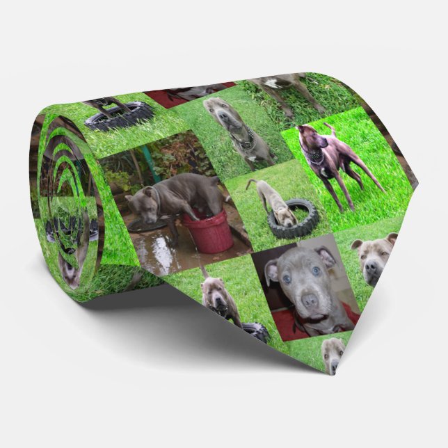 Cravate Staffordshire Bull Terrier Photo Collage, (Roulé)