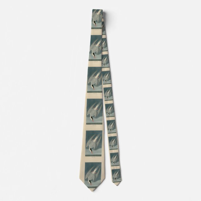 Cravate Sterne arctique des oiseaux d'Amérique d'Audubon (Devant)