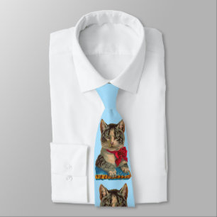 Cravate Tabby de Victoria