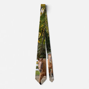 Cravate Tie pour homme Quarter Horse