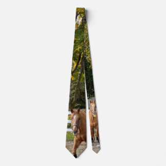 Cravate Tie pour homme Quarter Horse