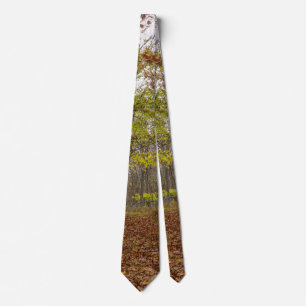 Cravate Tied'Été Indien