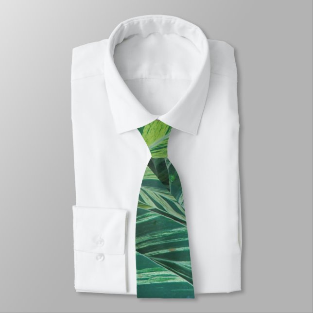 Cravate Tropiques de feuillage vert rayé Feuilles tropicau (Attaché)