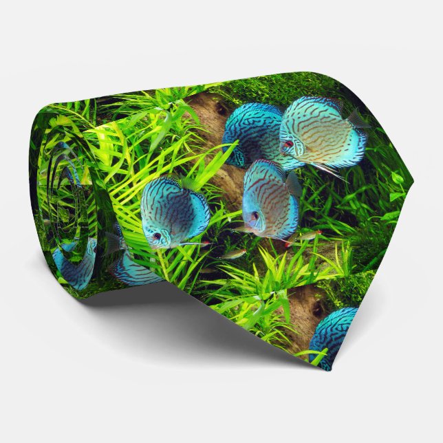 Cravate Turquoise Discus Poisson ク タ イ (Roulé)
