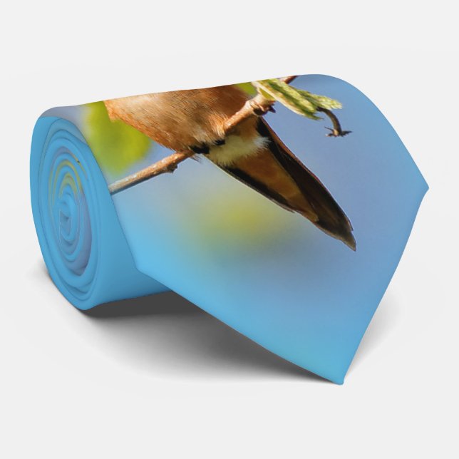Cravate Un Curieux Colibri Roux (Roulé)
