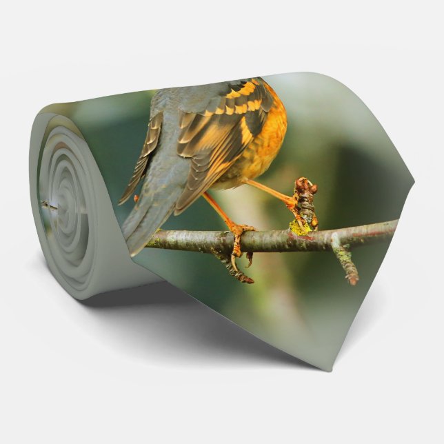 Cravate Une Belle Grive Étonnante Mais Sûre Variée (Roulé)