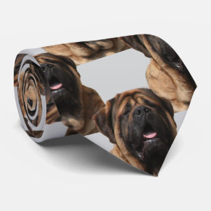 Cravate Vacances Mastiff Mastiff Anglais