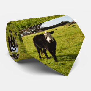 Cravate Vache Noire À Visage Blanc Et Mohawk,