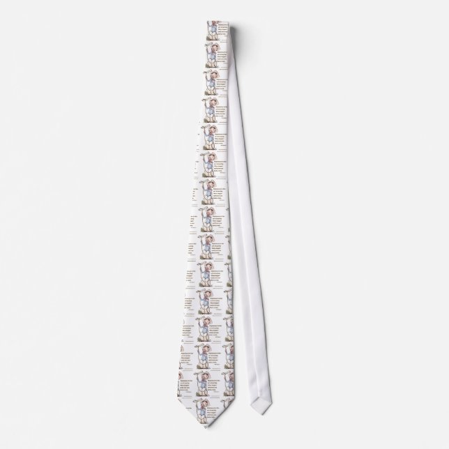 Cravate Will Rogers & Citation (Devant)