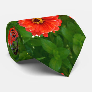 Cravate Zinnia orange, fleurs orange, fleurs rouges