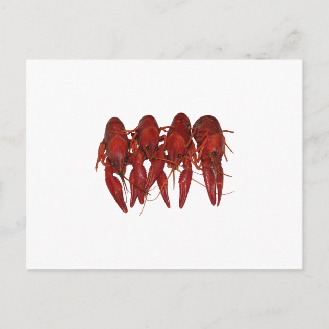 Crawfish-Logo (ohne Titel) Postkarte (Vorderseite)
