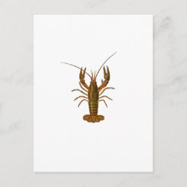 Crawfish-Logo Postkarte