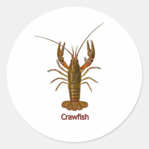 Crawfish-Logo Runder Aufkleber