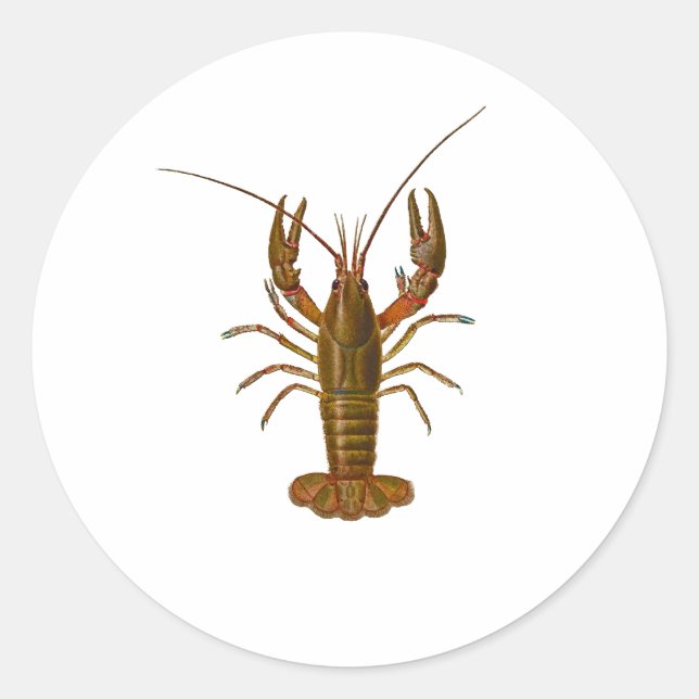 Crawfish-Logo Runder Aufkleber (Vorderseite)