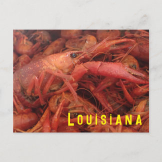 Crawfish Postkarte