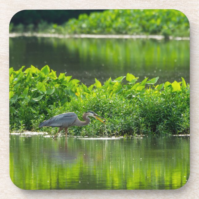 Crawfish-Zeit Getränkeuntersetzer (Vorderseite)