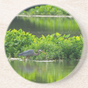 Crawfish-Zeit Getränkeuntersetzer