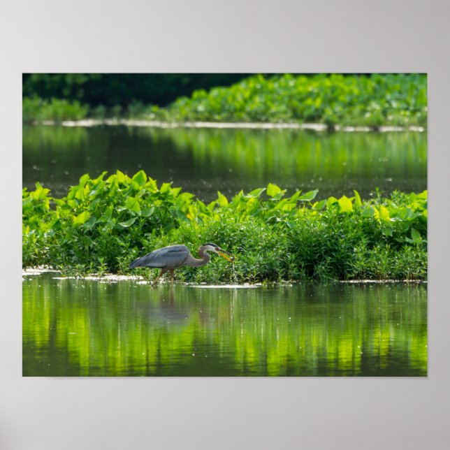 Crawfish-Zeit Poster (Vorne)