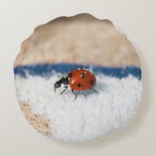 Crawling Ladybug Rundes Kissen