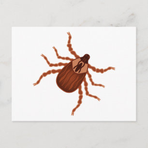 Crawly Realistic Tick Illustration Postkarte