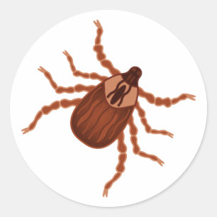 Crawly Realistic Tick Illustration Runder Aufkleber