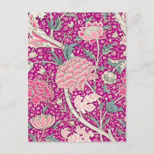 Cray in Rosa Postkarte