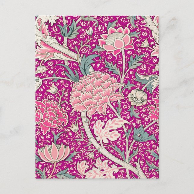 Cray in Rosa Postkarte (Vorderseite)