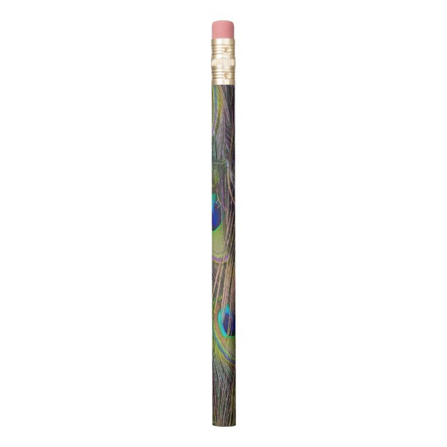 Crayon Plumes de paon (Vertical)