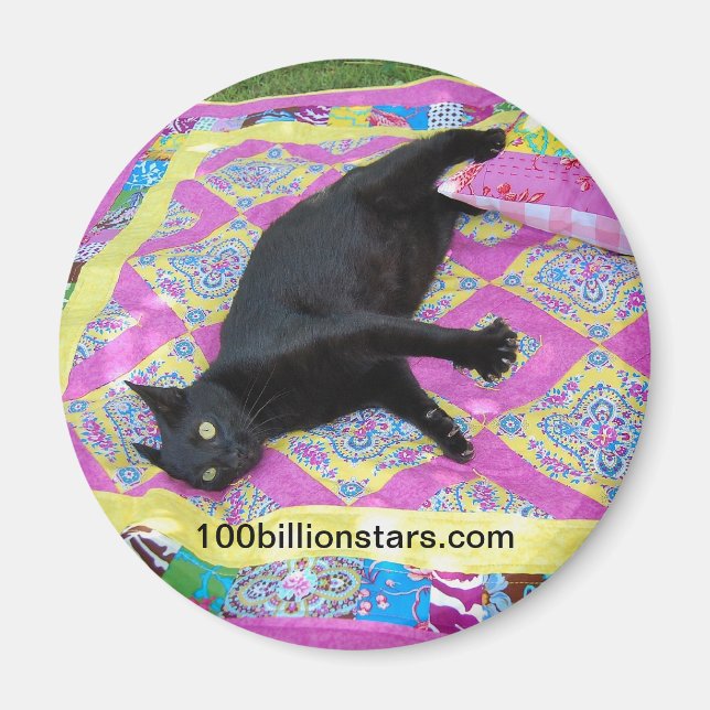 Crazed Quilt Cat Magnet (Vorne)