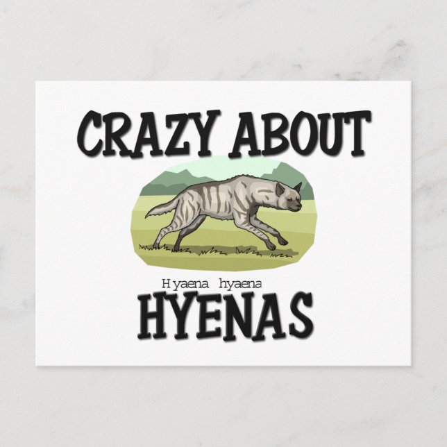 Crazy About Hyenas Postkarte (Vorderseite)