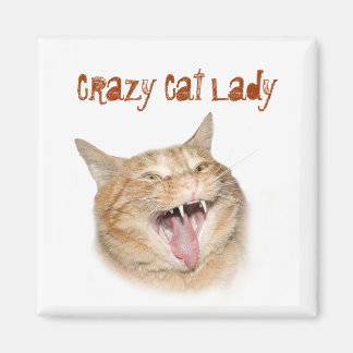 Crazy Cat Lady Magnet