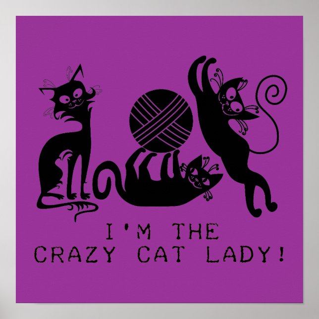 Crazy Cat Lady Poster (Vorne)