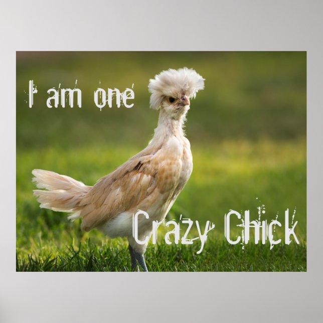 Crazy Chick Funny Poster (Vorne)