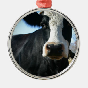 Crazy Cow Ornament Aus Metall